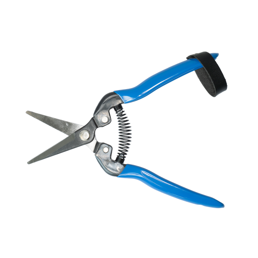 Schere Snips