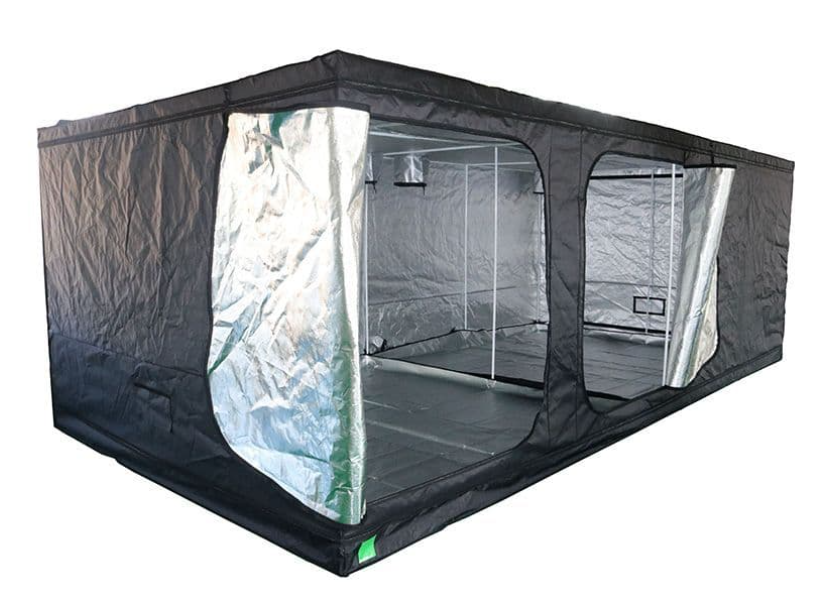 BudBox - Lite Tent