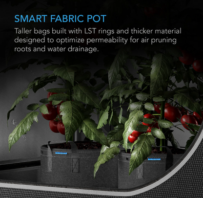 AC Infinity - Heavy Duty Fabric Post - 1 Gallon - DiscountHydro.com - 16.99 - AC Infinity, Pots & Trays > Plant Pots and Pouches