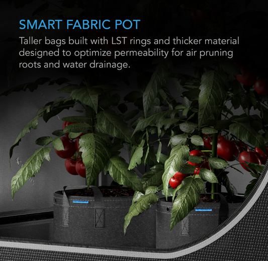 AC Infinity - Heavy Duty Fabric Post - 1 Gallon - DiscountHydro.com - 16.99 - AC Infinity, Pots & Trays > Plant Pots and Pouches