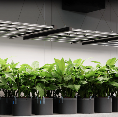 Ionframe LED Series - EVO 3 = 280W (2 x 4 inch) - DiscountHydro.com - 338.00 - AC Infinity, Lighting > LED Fixtures