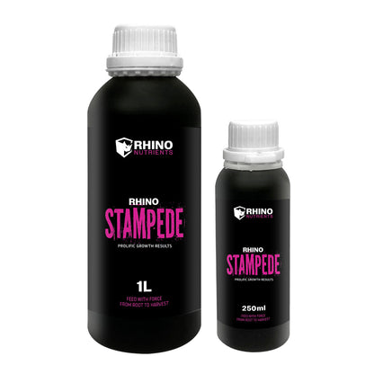 Rhino Stampede