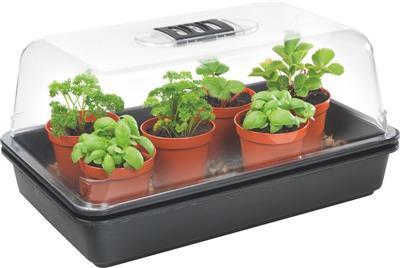Steward Medium Heated Propagator - 38cm - Default Title - DiscountHydro.com - 25.90 - Environment Control > Heaters, Pots & Trays > Propagation Trays, Systems