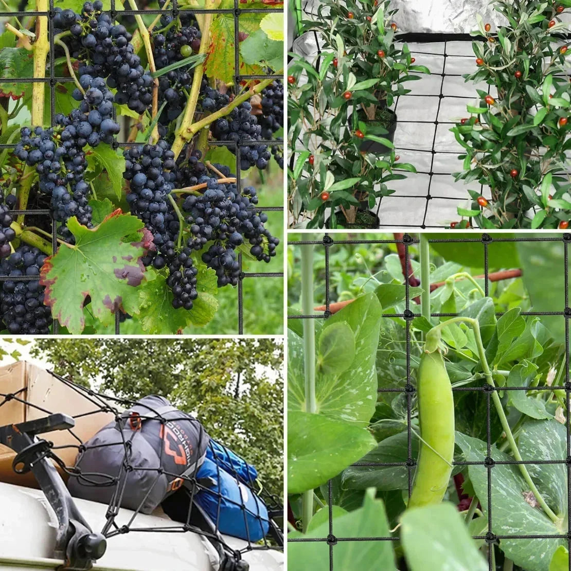 Trellis Netting Perfect for Climbing Plants, Vegetables, Fruits, and Flowers. Reusable and Versatile: Measuring 3mm in