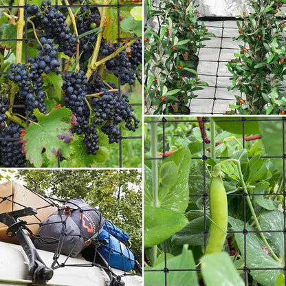 Trellis Netting Perfect for Climbing Plants, Vegetables, Fruits, and Flowers. Reusable and Versatile: Measuring 3mm in