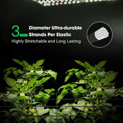 Trellis Netting Perfect for Climbing Plants, Vegetables, Fruits, and Flowers. Reusable and Versatile: Measuring 3mm in