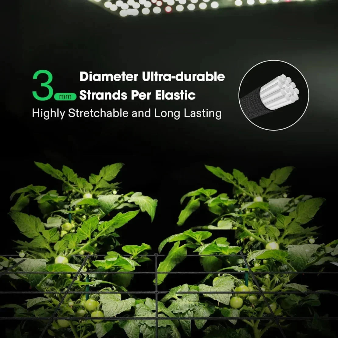 Trellis Netting Perfect for Climbing Plants, Vegetables, Fruits, and Flowers. Reusable and Versatile: Measuring 3mm in