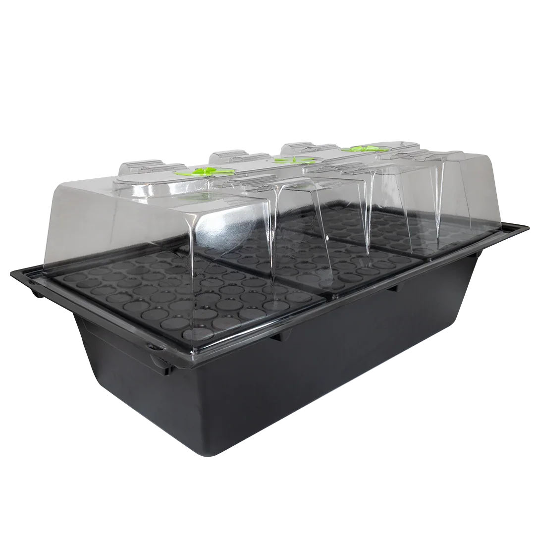 X-Stream Aeroponic Propagator Cuttings ready to transplant in as little as 10 days! The unique environment in an X-Stream