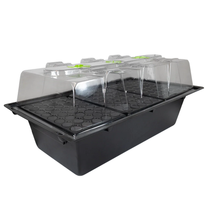 X-Stream Aeroponic Propagator Cuttings ready to transplant in as little as 10 days! The unique environment in an X-Stream