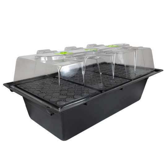 X-Stream Aeroponic Propagator Cuttings ready to transplant in as little as 10 days! The unique environment in an X-Stream