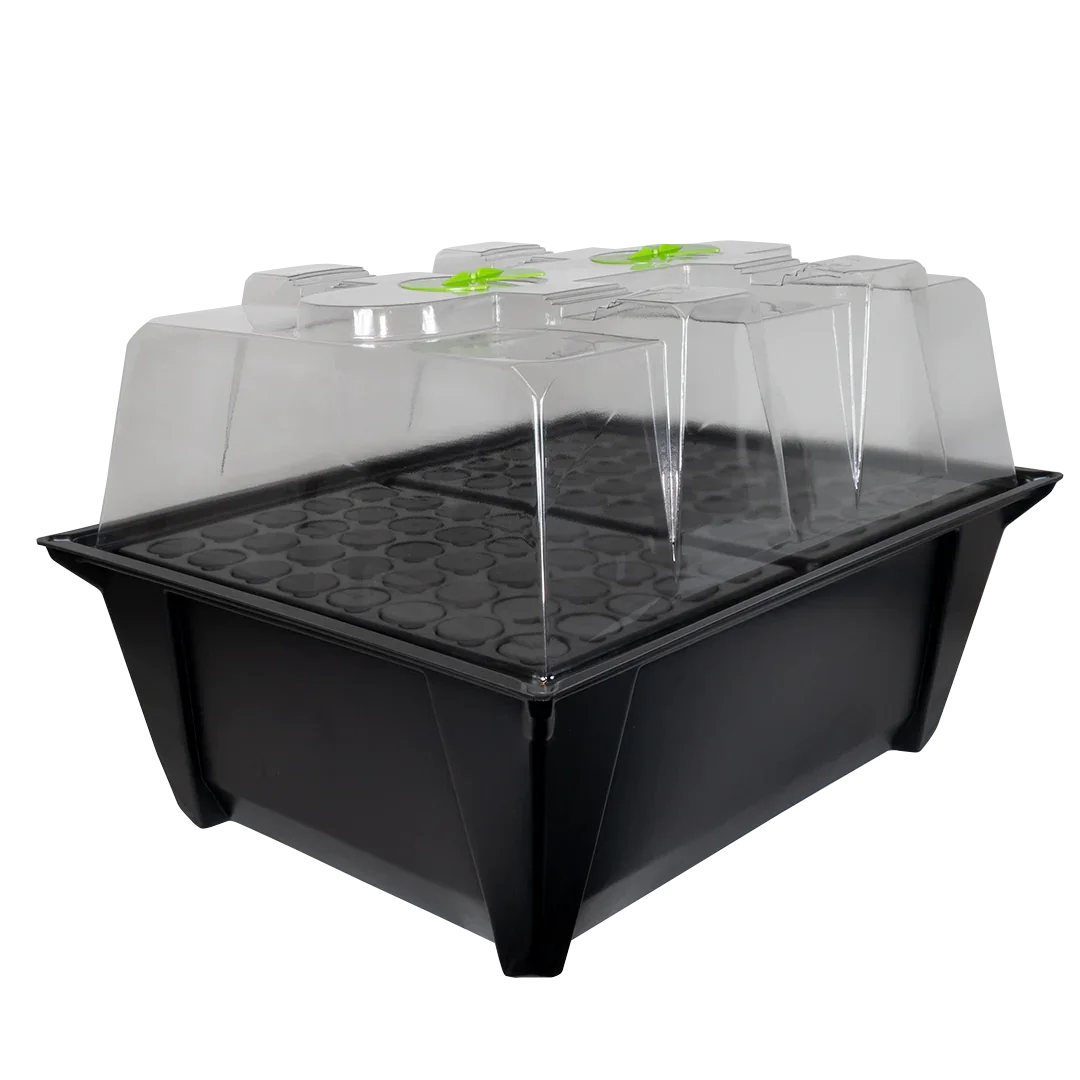X-Stream Aeroponic Propagator Cuttings ready to transplant in as little as 10 days! The unique environment in an X-Stream