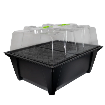 X-Stream Aeroponic Propagator Cuttings ready to transplant in as little as 10 days! The unique environment in an X-Stream