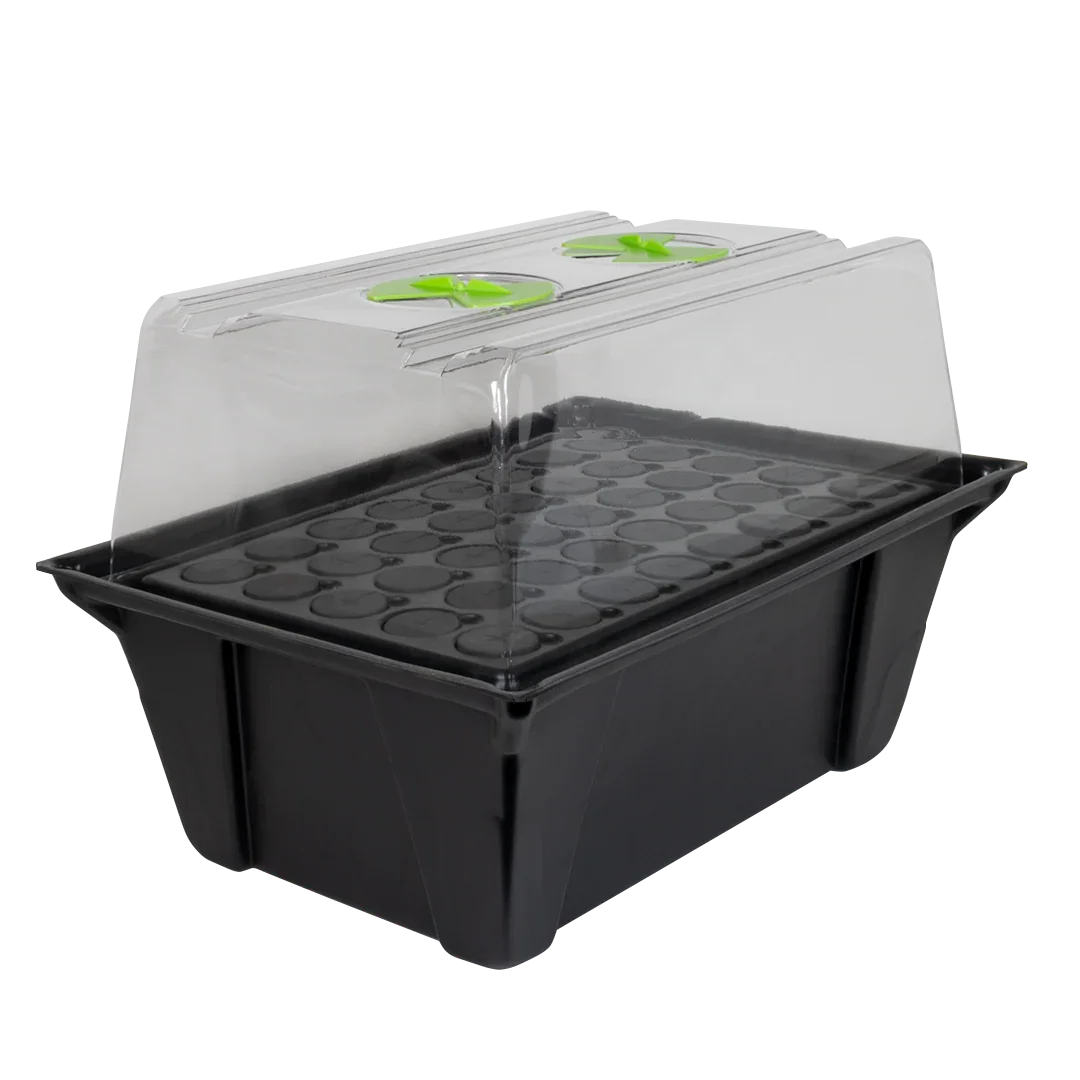 X-Stream Aeroponic Propagator Cuttings ready to transplant in as little as 10 days! The unique environment in an X-Stream
