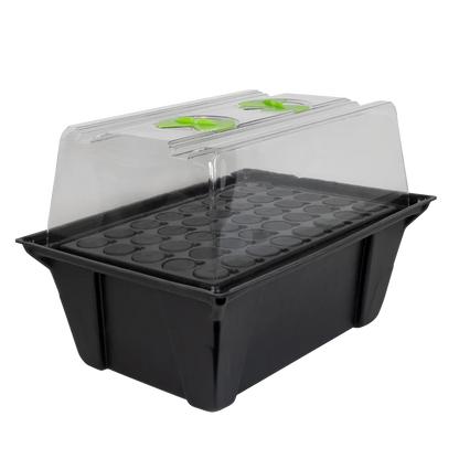 X-Stream Aeroponic Propagator Cuttings ready to transplant in as little as 10 days! The unique environment in an X-Stream