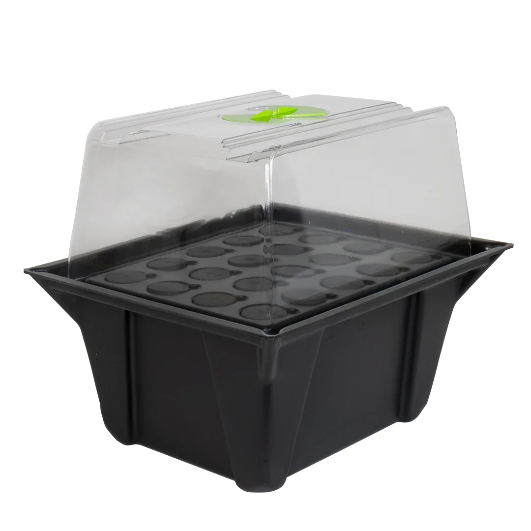 X-Stream Aeroponic Propagator Cuttings ready to transplant in as little as 10 days! The unique environment in an X-Stream
