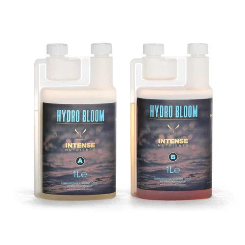 Intense Nutrients - Hydro Bloom A&B - 1 Litre - DiscountHydro.com - 14.95 - Intense Nutrients, Nutrients & Additives > A B