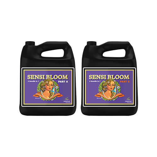 Advanced Nutrients Sensi Bloom A+B - 4 Litre image