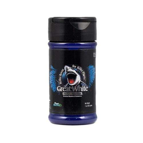 Plant Success Great White image 0