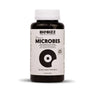 Biobizz Microbes