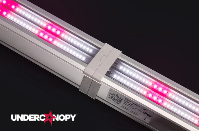 Kit Dritash Craft Farmer Under Capopy V3 120w (x2)