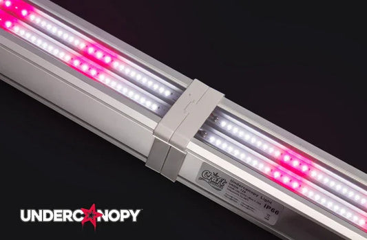 Craft Farmer Under Canopy V3 120w Light Kit (x2) - Default Title - DiscountHydro.com - 540.00 - Lighting > LED Fixtures, Under Canopy LED