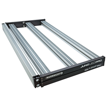 Maxibright JUNO PRO
