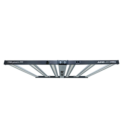 Maxibright JUNO PRO