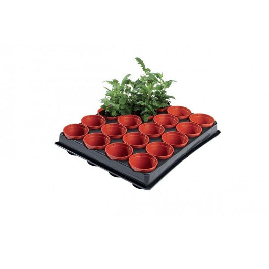 Seed and cutting tray - 20 x 6cm pots
