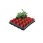 Seed and cutting tray - 20 x 6cm pots
