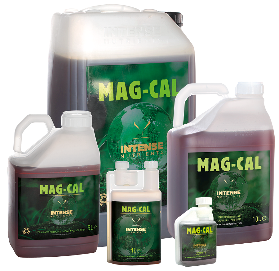 Ushqyes Intens Mag-Cal