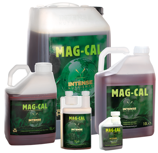 Ushqyes Intens Mag-Cal