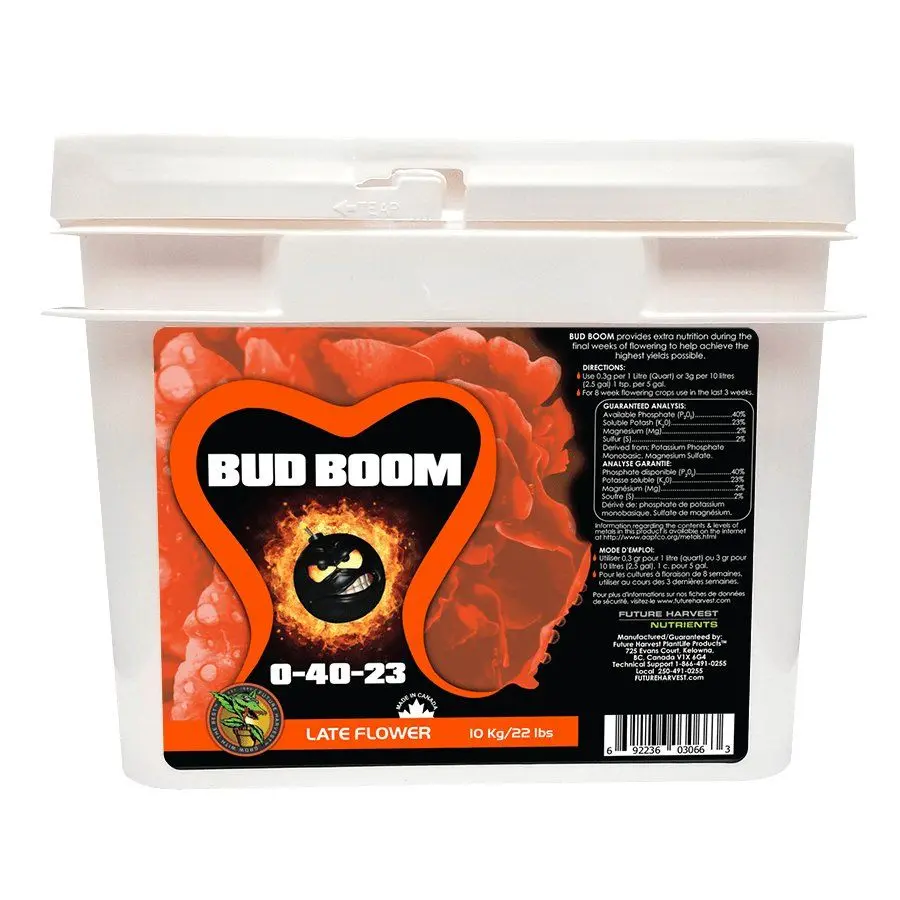 FHD Bud Boom