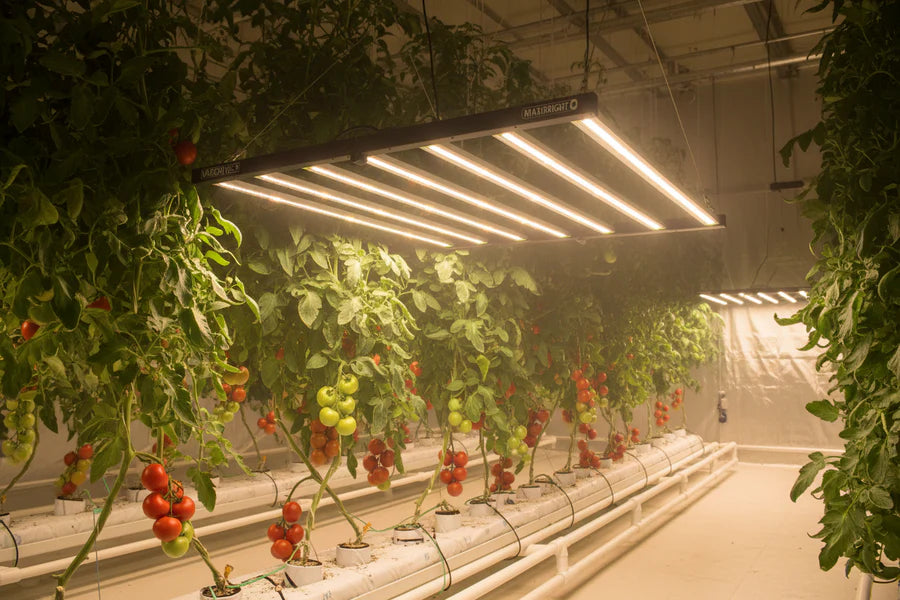 Maxibright Varidrive 3 - 720W 3.0 LED Grow Light