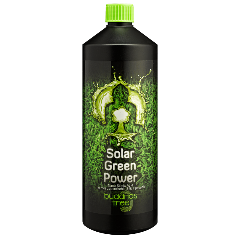 Buddhas Tree Solar Green Power 1L