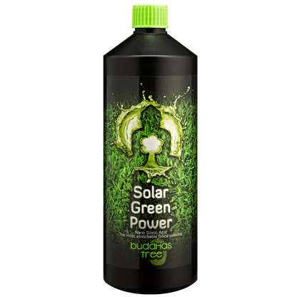 Buddhas Tree Solar Green Power 1L