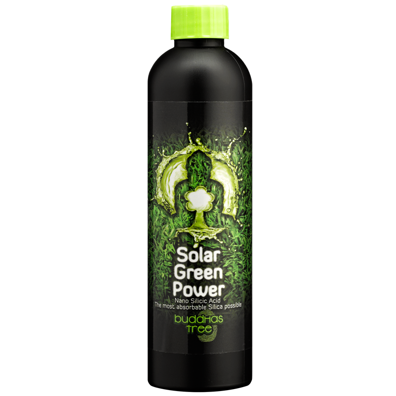 Buddhas Tree Solar Green Power 250ml