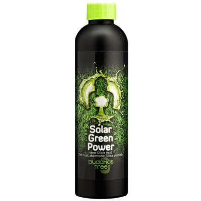 Buddhas Tree Solar Green Power 250ml