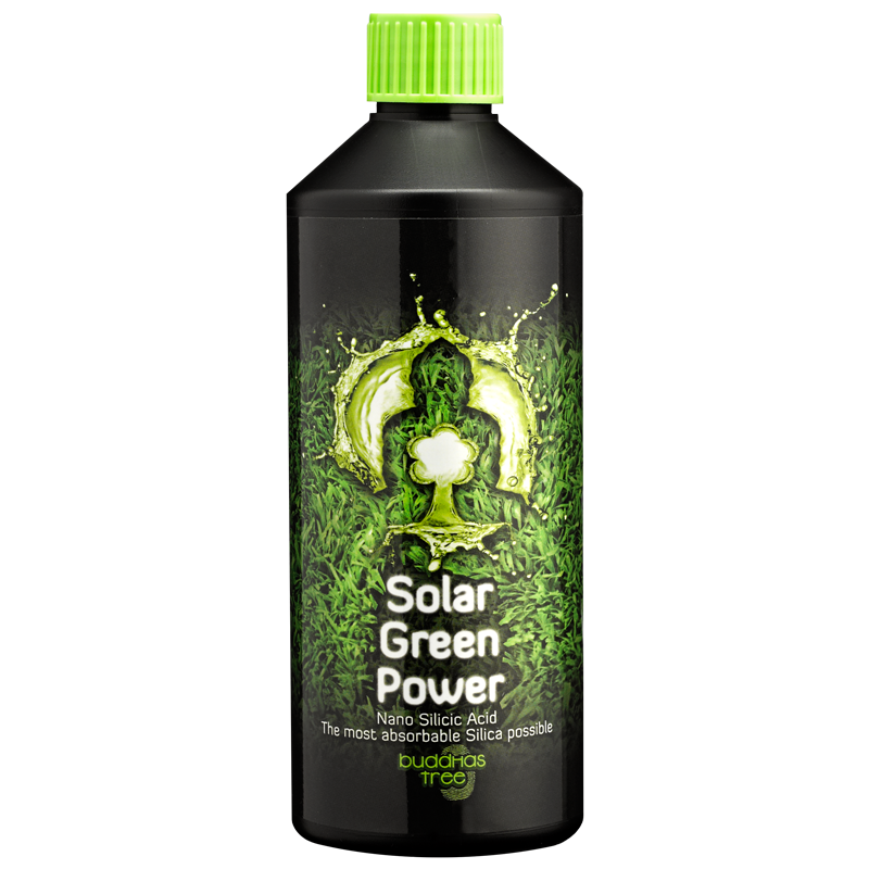 Buddhas Tree Solar Green Power 500ml