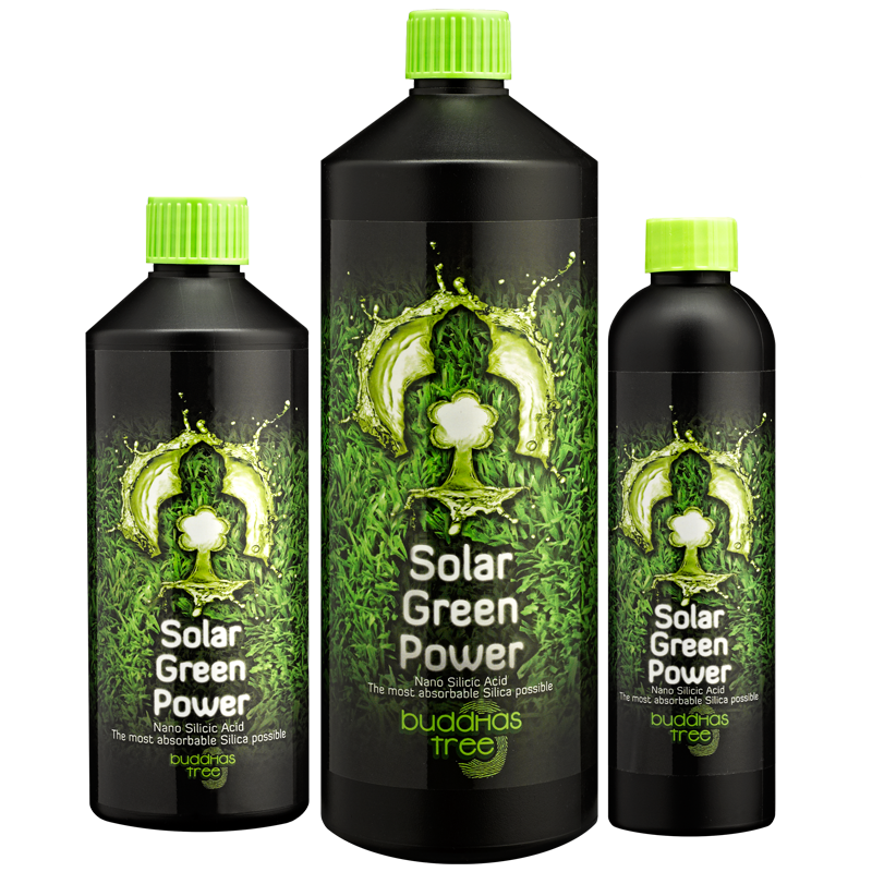 Buddhas Tree Solar Green Power is a strong additive, which you can use during the vegetative and blooming stages. Available in 250ml, 500ml and 1L