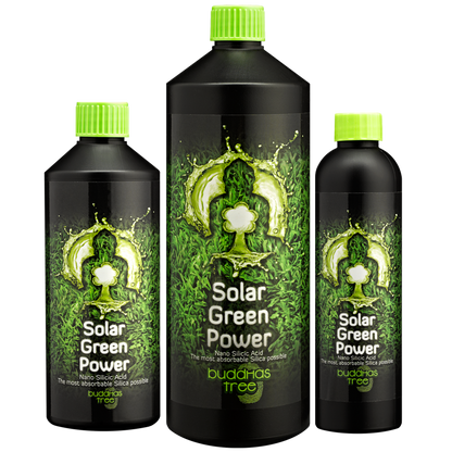 Buddhas Tree Solar Green Power is a strong additive, which you can use during the vegetative and blooming stages. Available in 250ml, 500ml and 1L